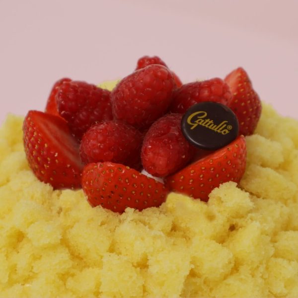 torta-mimosa-artigianale-storia-ingredienti-pasticceria-gattullo