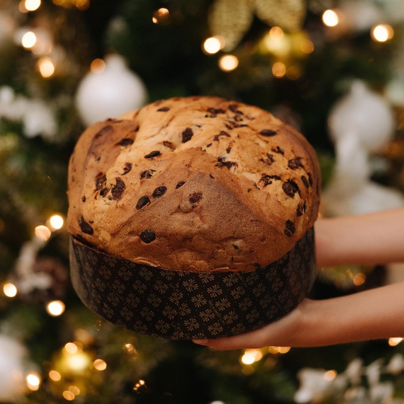 Panettone with Chocolate Chips